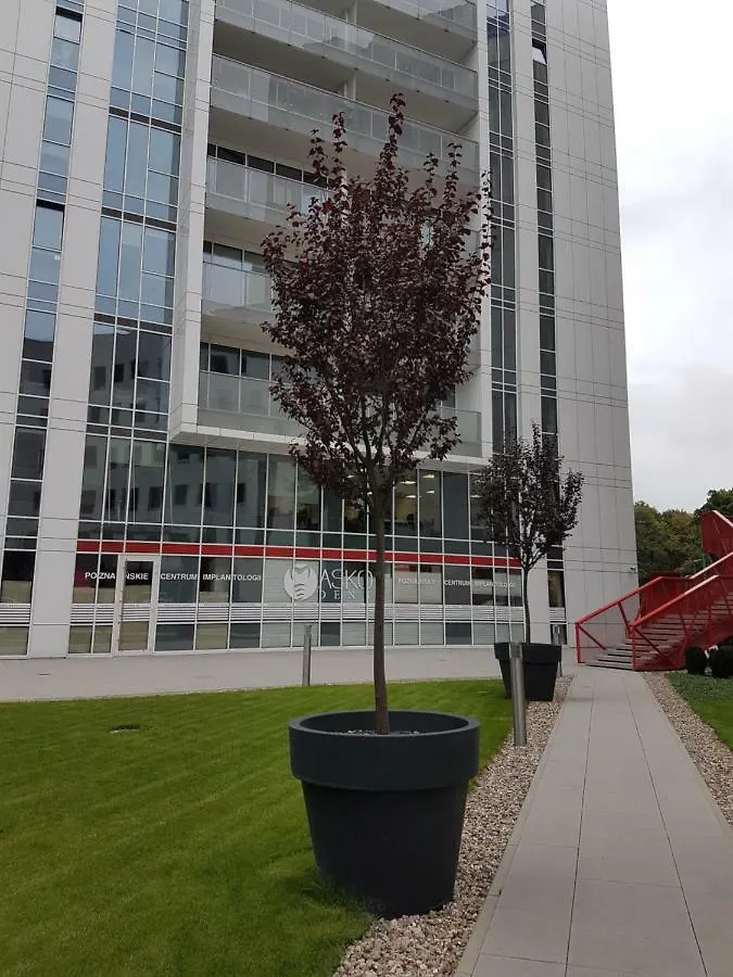 Apartament Towarowa 37 Poznań Appartamento